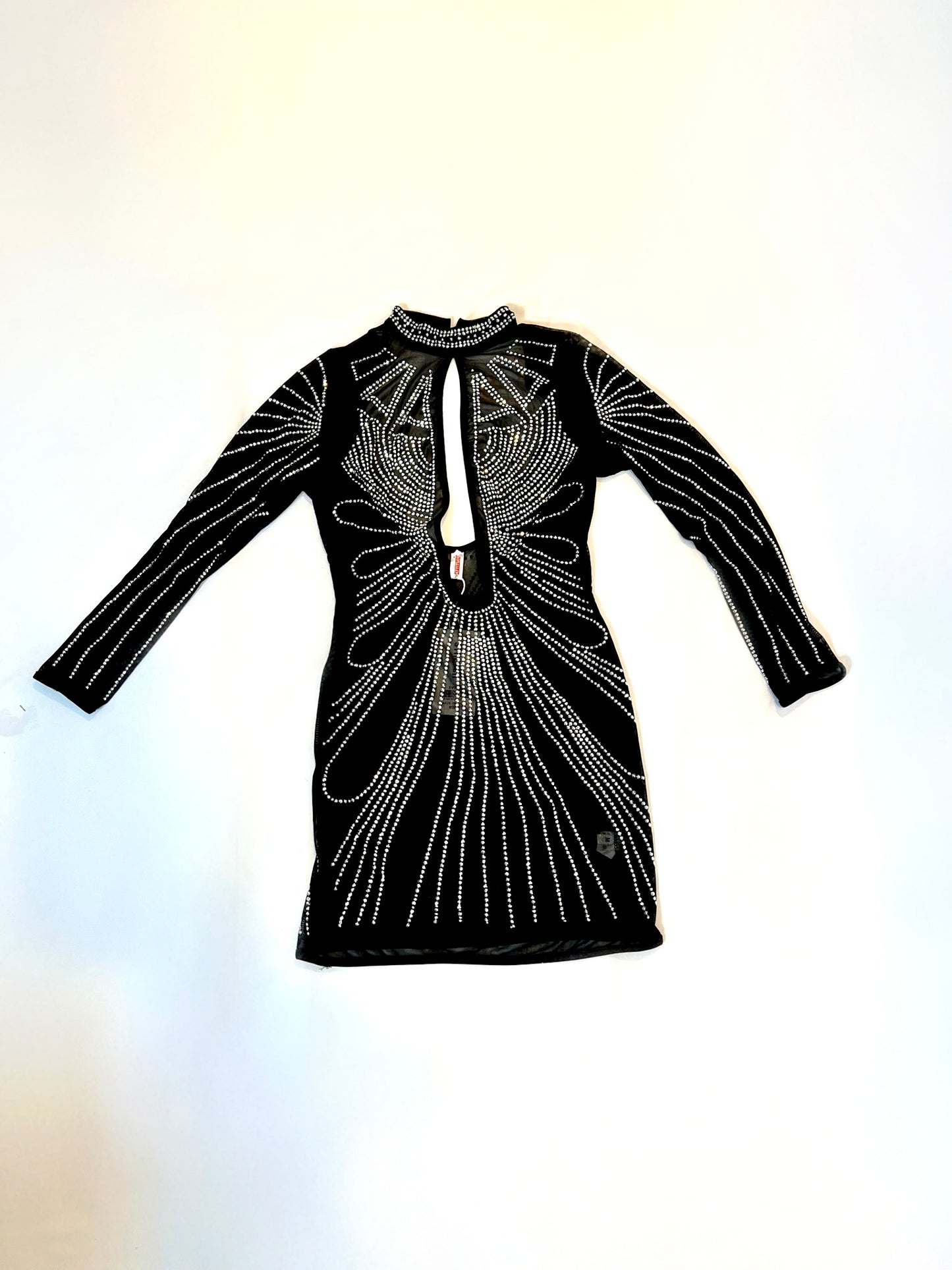 Alicia Bday Mesh Dress